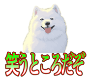 838027370