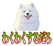 838027373