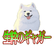 838027374