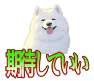 838027375