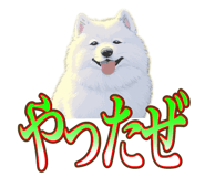 838027378