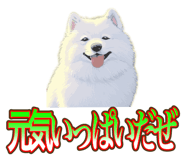 838027380