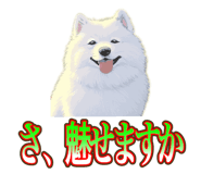 838027381