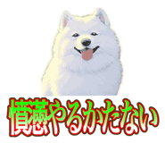 838027384