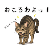 838027774
