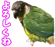 838029930