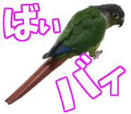 838029931