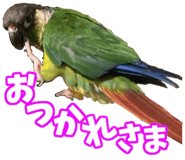 838029934