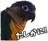 838029936