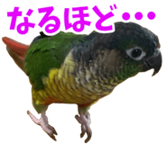 838029942