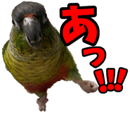 838029946