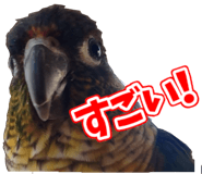 838029948