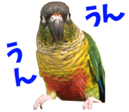 838029951