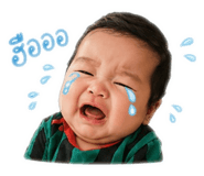 838030126