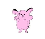 838030255