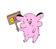 838030260
