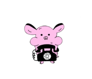 838030262
