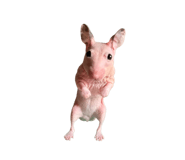 838030274