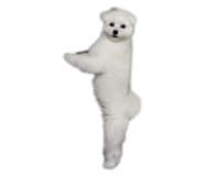838030663