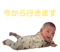 838030818