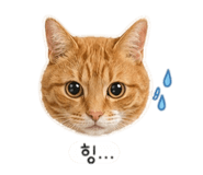 838030910