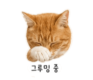 838030914
