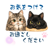 838031911