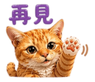 838034076
