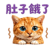 838034080