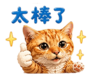838034081
