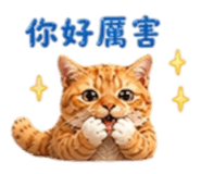 838034087