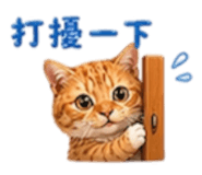 838034091