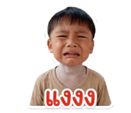 838036304