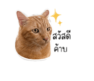 838036329
