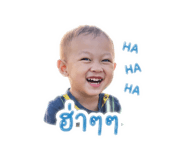 838036549