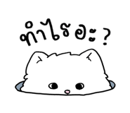 838037348