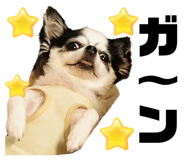 838038515