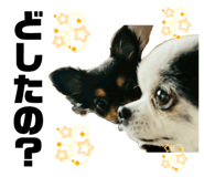 838038516