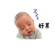 838039981