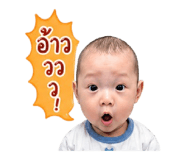 838041516