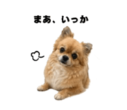 838043929