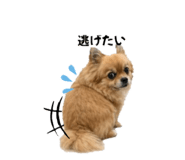 838043935