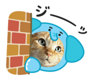 838044727