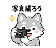 838045372