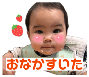 838045511