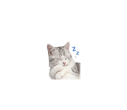 838049332