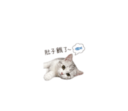 838049333