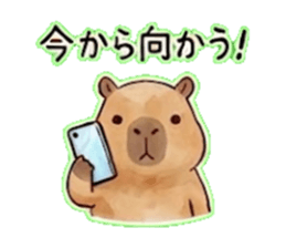 838051075