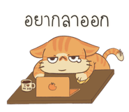 838051394