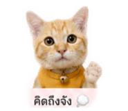 838053009